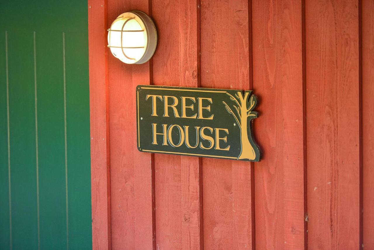 Salishan Tree House Suite Cowichan Bay Dış mekan fotoğraf