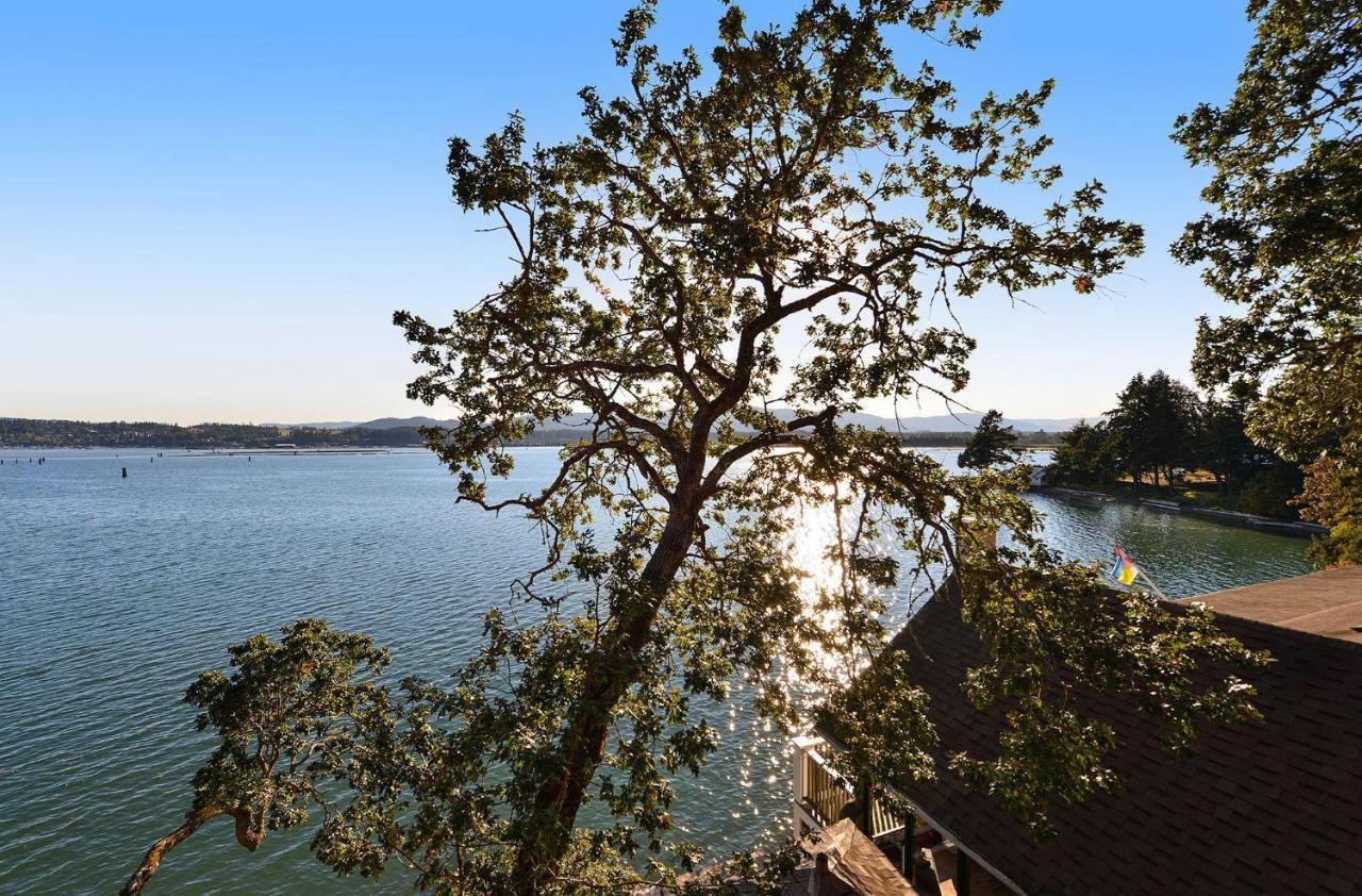 Salishan Tree House Suite Cowichan Bay Dış mekan fotoğraf